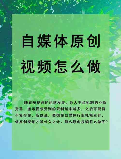 ​自媒体教程下载｜系统化学习与实践指南