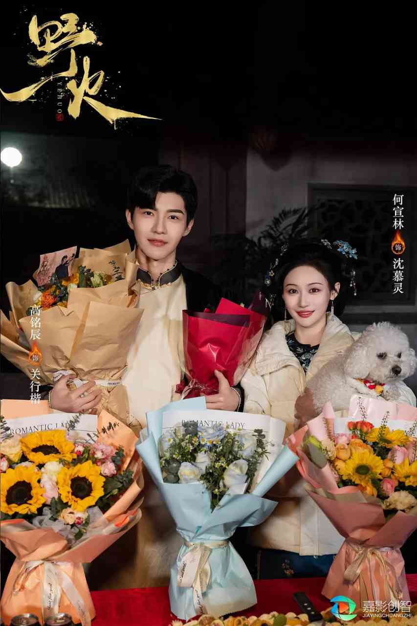 《野火》免费在线播放｜爱情·中国大陆