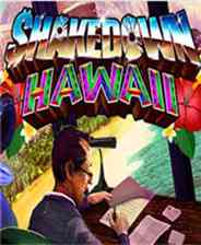 《夏威夷劫案》免安装｜灵光乍现｜冒险解谜