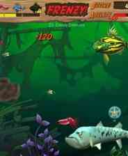 《疯狂吞食鱼2》免安装｜沉浸经营｜模拟经营