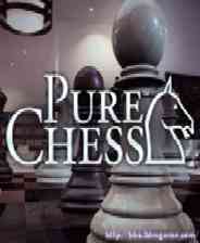 《纯正国际象棋》免费下载｜单机游戏