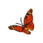 《雨阳打字通》官方版》免费下载|学习工具·1.0