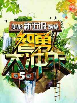 《智勇大冲关 第五季》免费高清无广告在线播放|运动,真人秀·中国大陆·2011