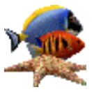 《热带鱼水族箱屏保3.3》免费下载|系统工具·3.3