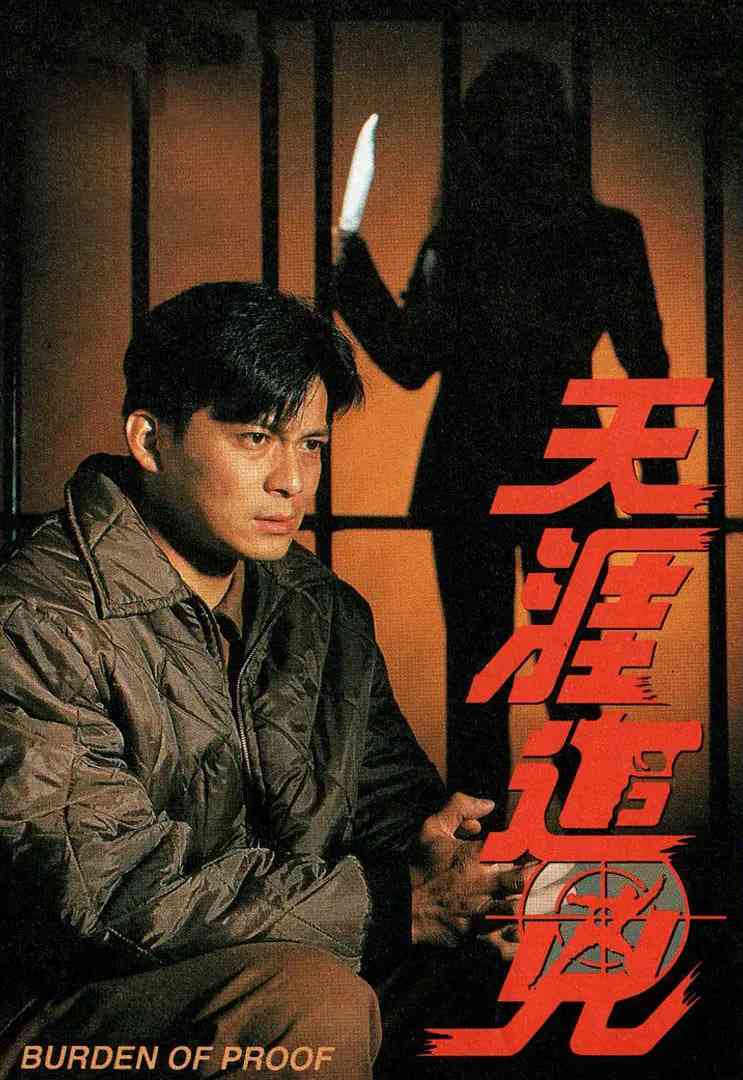 《天涯追凶》免费高清无广告在线播放|动作·中国香港·1994