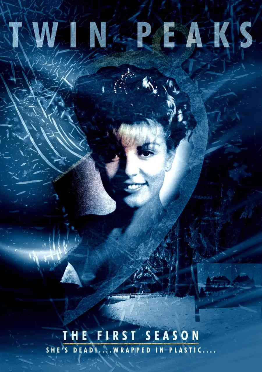 《双峰 第一季》免费高清无广告在线播放|剧情,科幻,悬疑,惊悚,犯罪·美国·1990