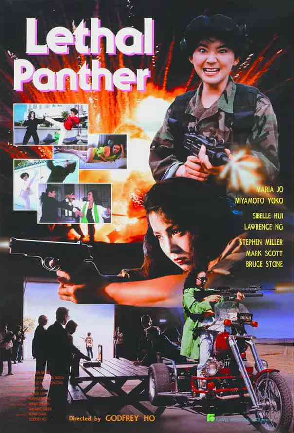 《惊天龙虎豹》免费高清无广告在线播放|动作·中国台湾,中国香港·1991