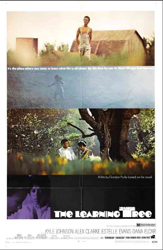 《常识树》免费高清无广告在线播放|剧情·美国·1969