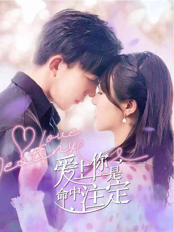 《爱上你是命中注定》免费高清无广告在线播放|国产剧,内地,国产·中国大陆·2022