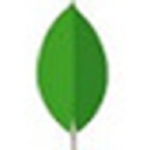 《MongoDB-64bit》免费下载|系统工具·4.0.3
