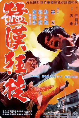 《猛汉狂徒》免费高清无广告在线播放|动作,冒险·中国台湾·1972