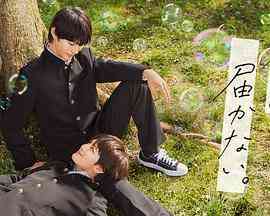 《无法传达给你》免费高清无广告在线播放|剧情,爱情,同性,日剧·日本·2023