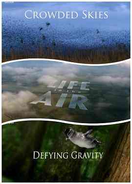 《空中生灵》免费高清无广告在线播放|纪录片,纪录·英国·2016