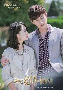 《遇见爱情的利先生》免费高清无广告在线播放|剧情,爱情·中国大陆·2017