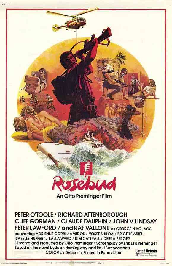 《玫瑰花恋》免费高清无广告在线播放|剧情,动作,惊悚,冒险·美国·1975