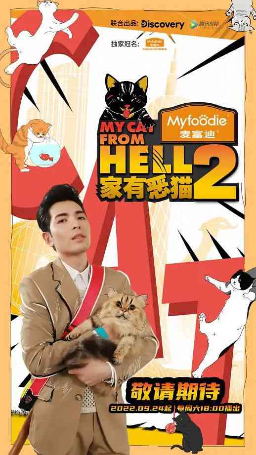 《家有恶猫2》免费高清无广告在线播放|纪录片·中国大陆·2022