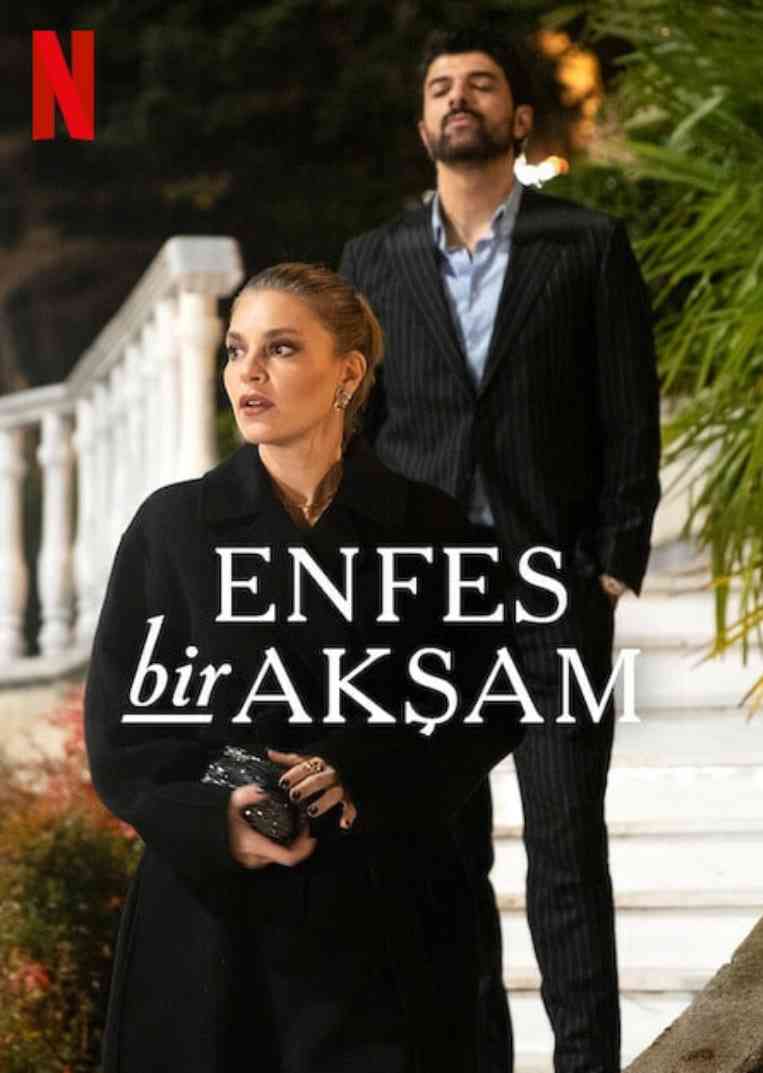 《权欲阶梯》免费高清无广告在线播放|剧情·土耳其·2025