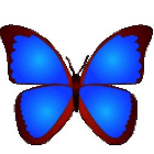 《bkViewer32位6.1.1.0》免费下载|影音播放·6.1.1.0