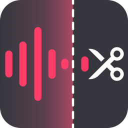 《金舟音频大师旧版本》免费下载|影音播放·2.1.5.0