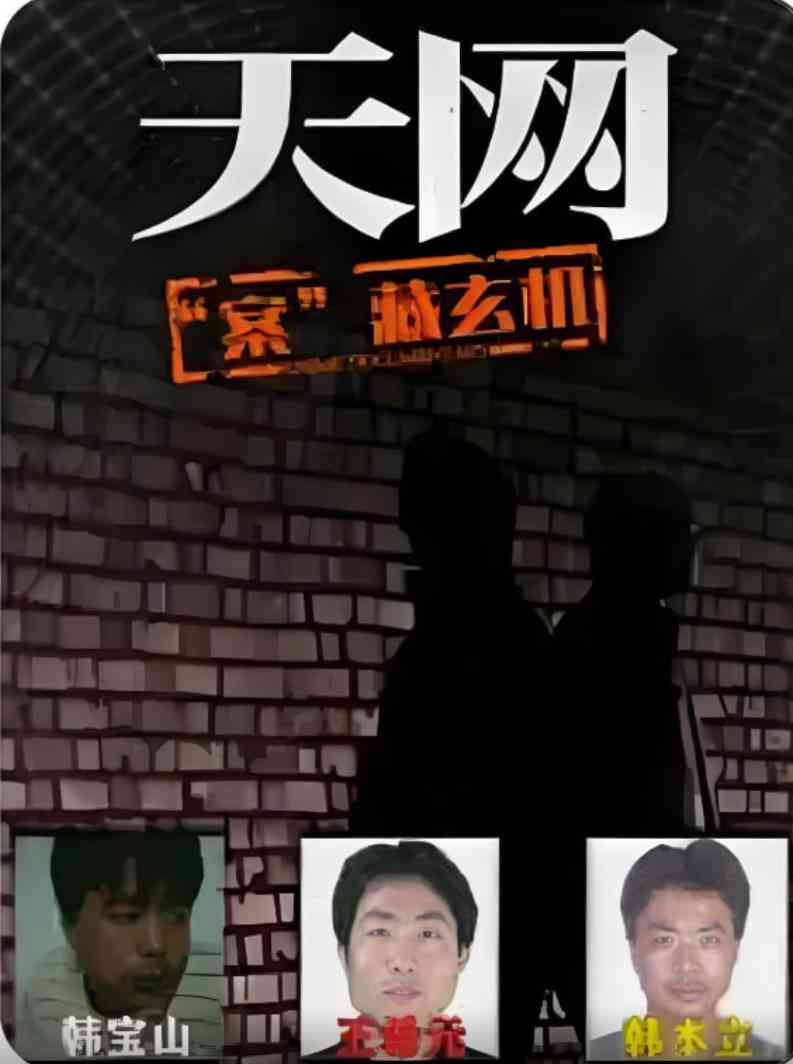 《天网：“案”藏玄机》最新免费高清电影无广告在线播放|剧情·中国大陆·2025