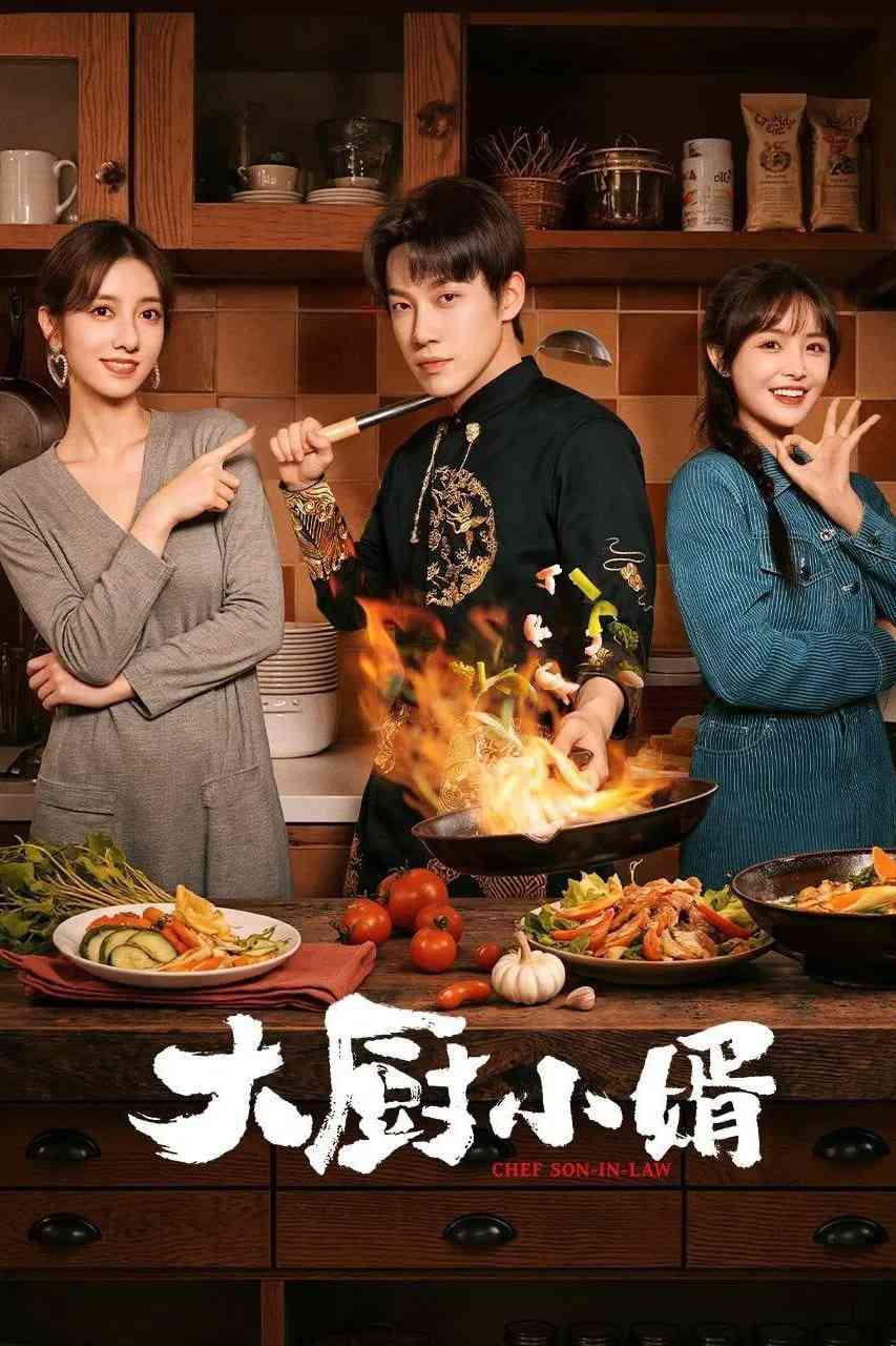 《大厨小婿》全集免费高清电视剧无广告在线播放|剧情·中国大陆·2025