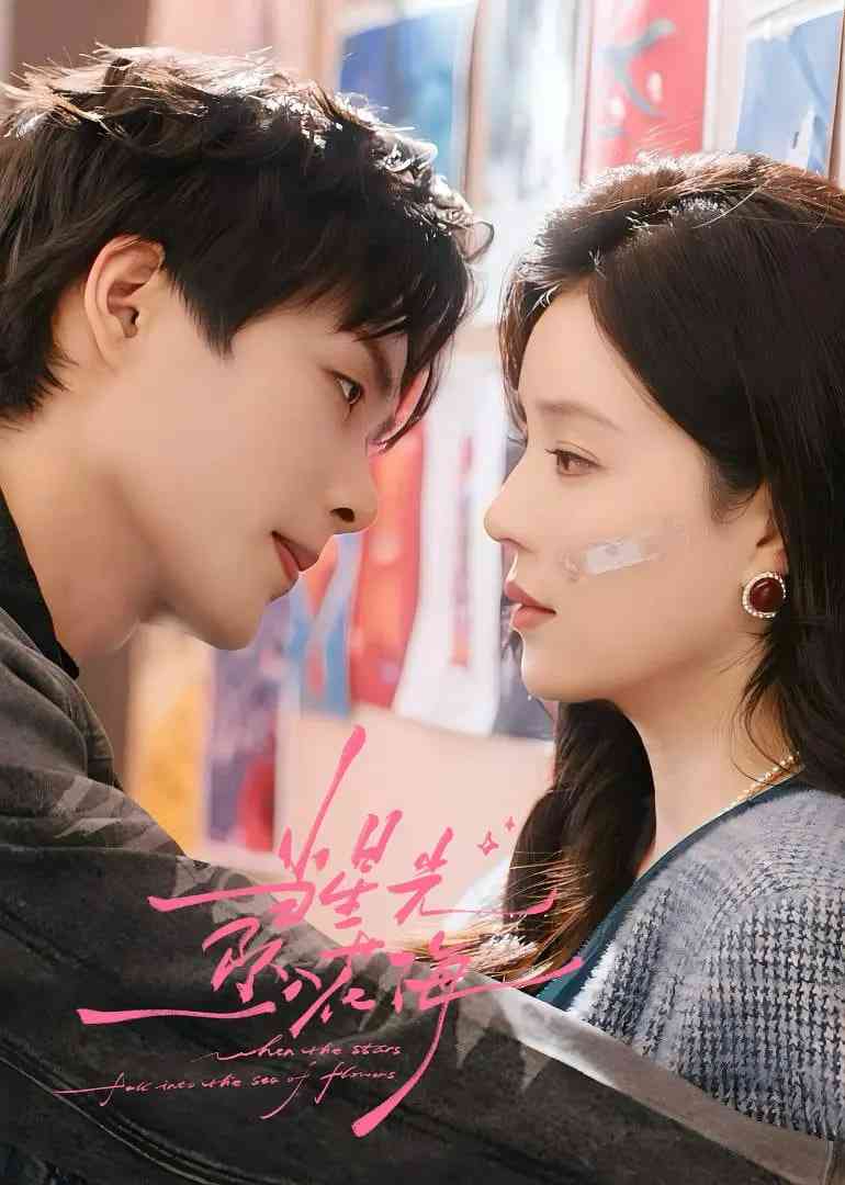 《当星光坠入花海》全集免费高清电视剧无广告在线播放|剧情,爱情·中国大陆·2025