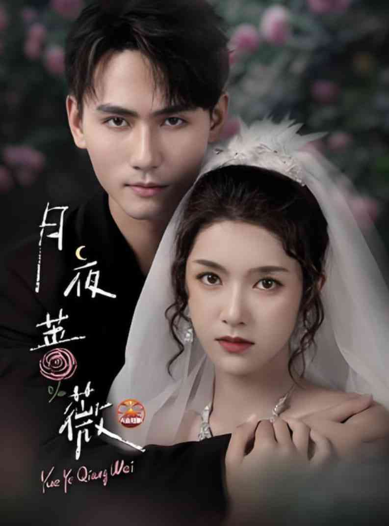 《月夜蔷薇》全集免费高清短剧无广告在线播放|短剧·中国大陆·2025