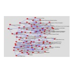 《pajekv1.26》软件免费下载|系统工具·1.26