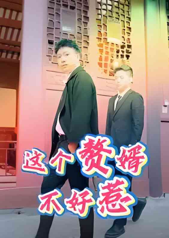 《这个赘婿不好惹》全集免费高清短剧无广告在线播放|短剧·中国大陆·2025