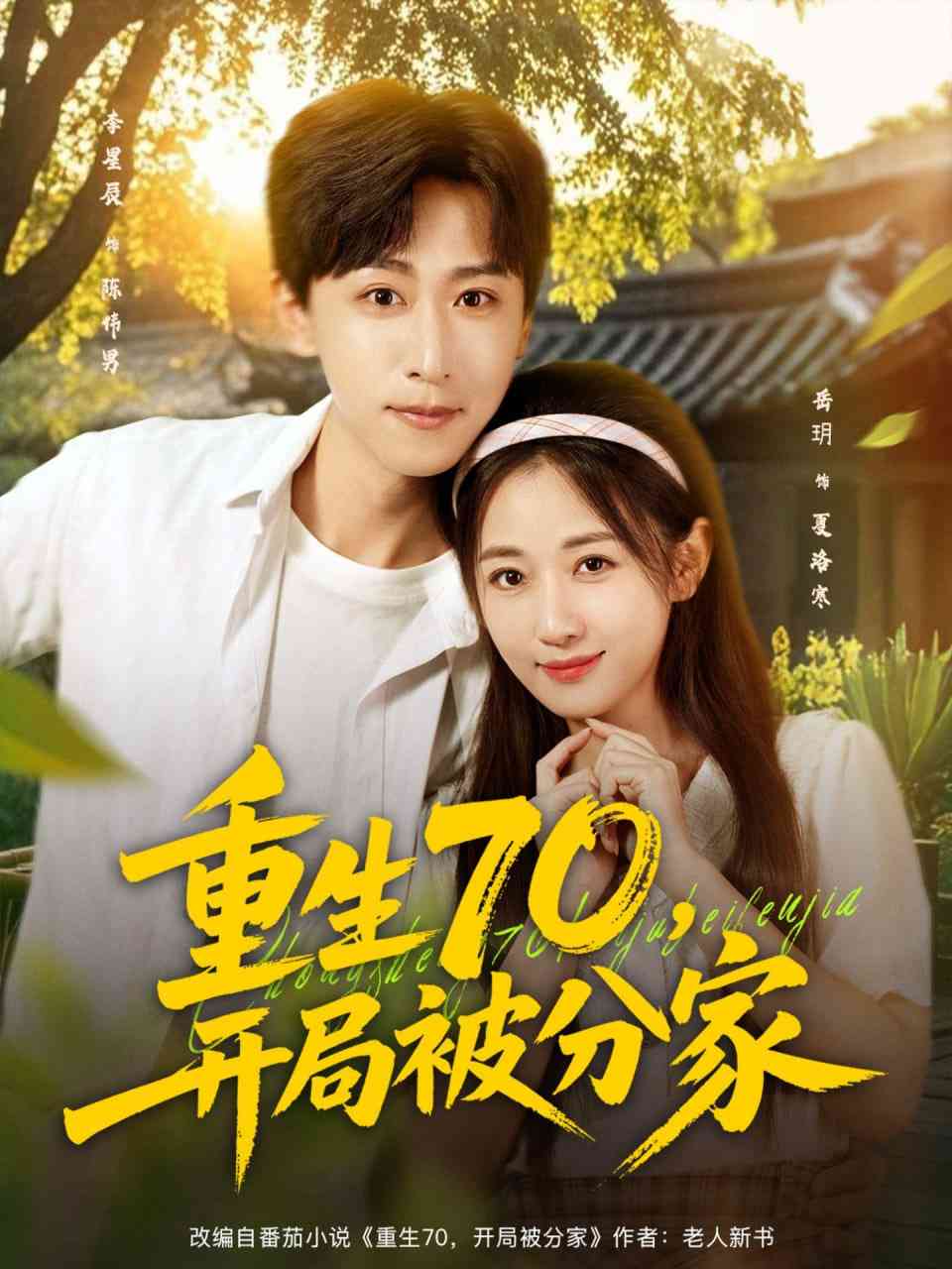 《重生70，开局被分家》全集免费高清短剧无广告在线播放|短剧·中国大陆·2025