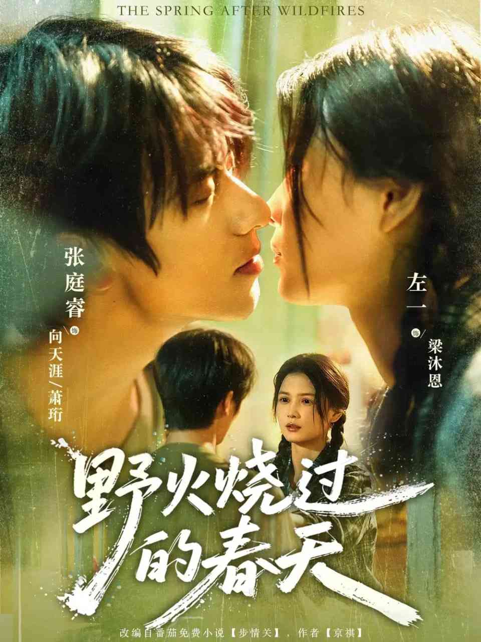 《野火烧过的春天》全集免费高清短剧无广告在线播放|短剧·中国大陆·2025