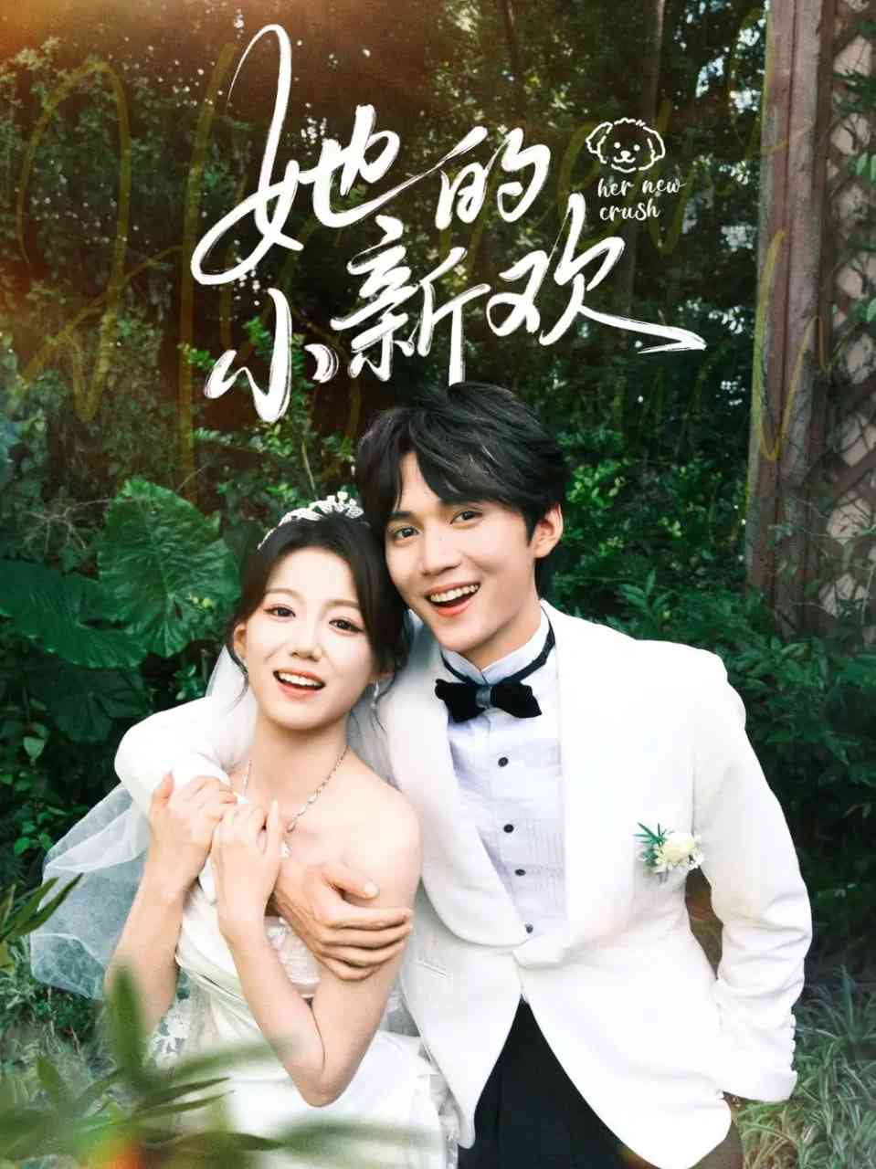 《她的小新欢》全集免费高清短剧无广告在线播放|短剧·中国大陆·2025