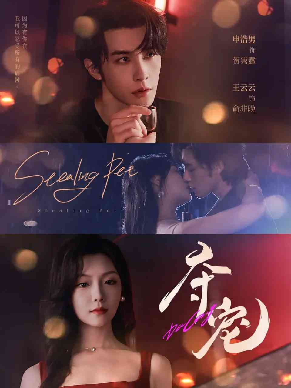 《夺宠》全集免费高清短剧无广告在线播放|短剧·中国大陆·2025