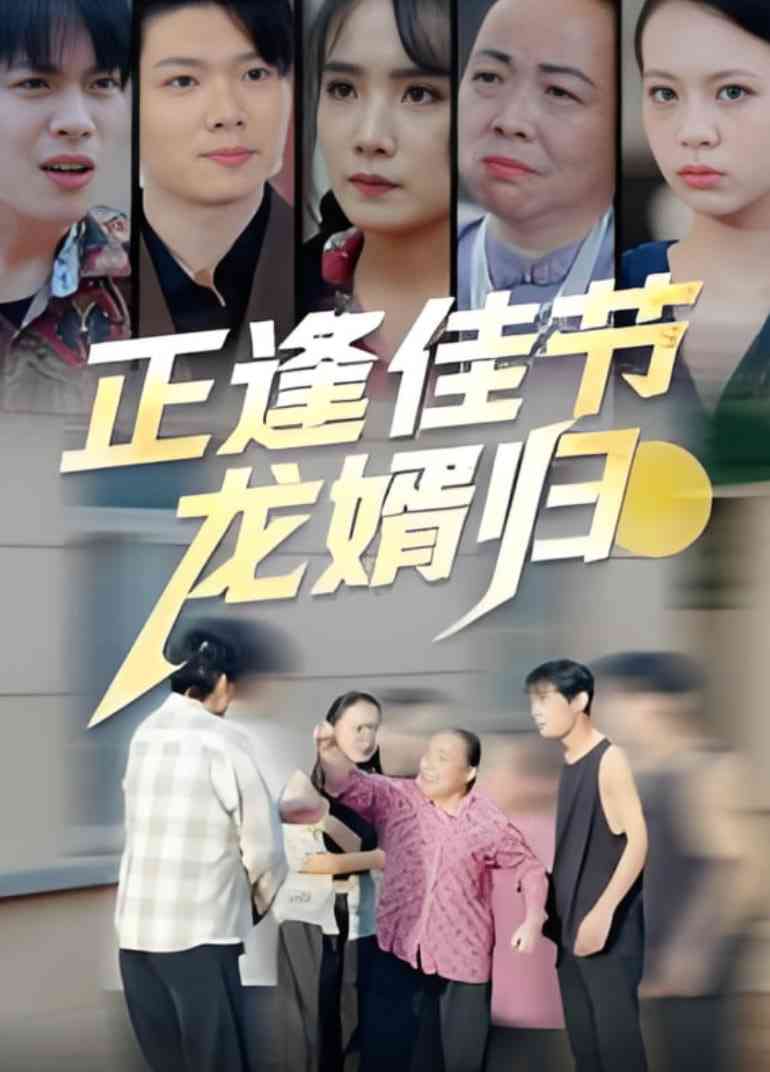《正逢佳节龙婿归》全集免费高清短剧无广告在线播放|短剧·中国大陆·2025