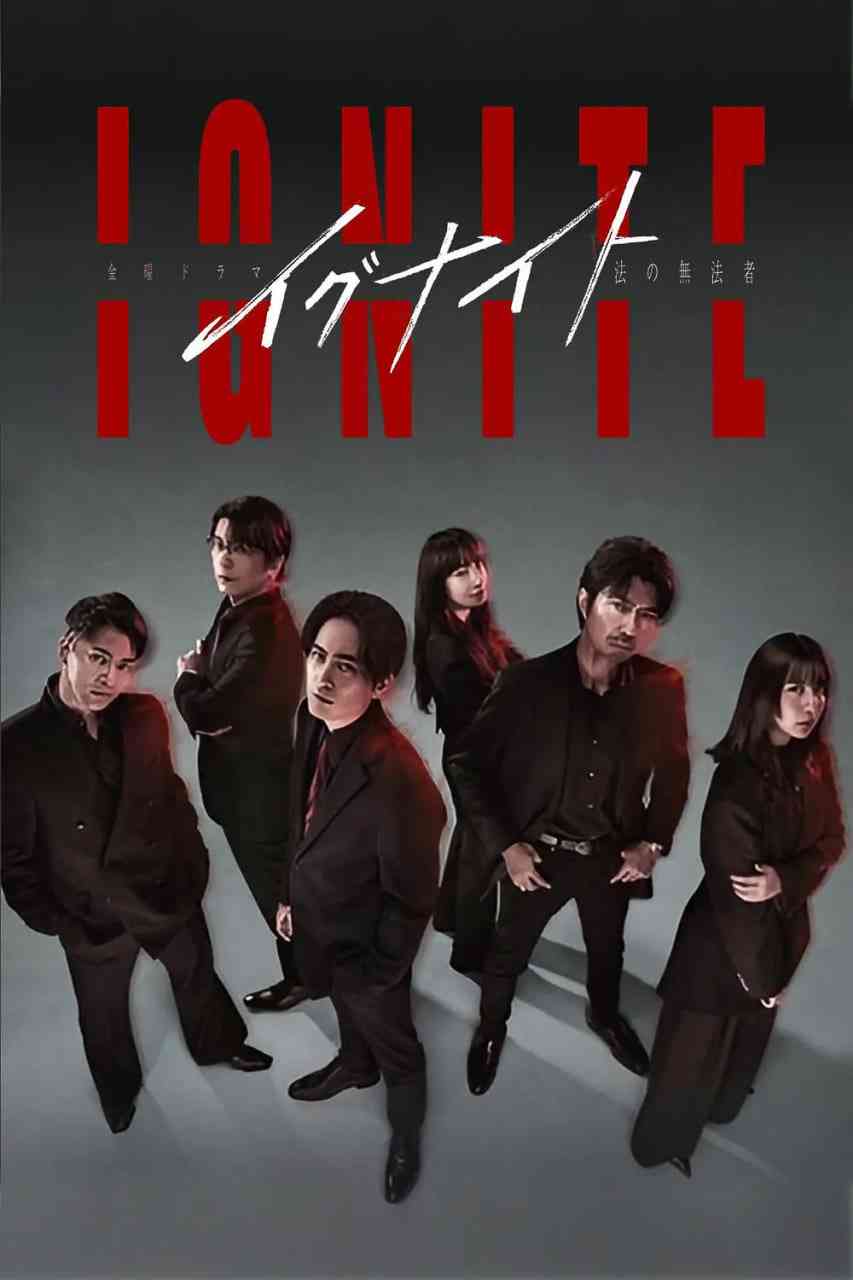 《点燃：法之无法者》全集免费高清电视剧无广告在线播放|剧情·日本·2025