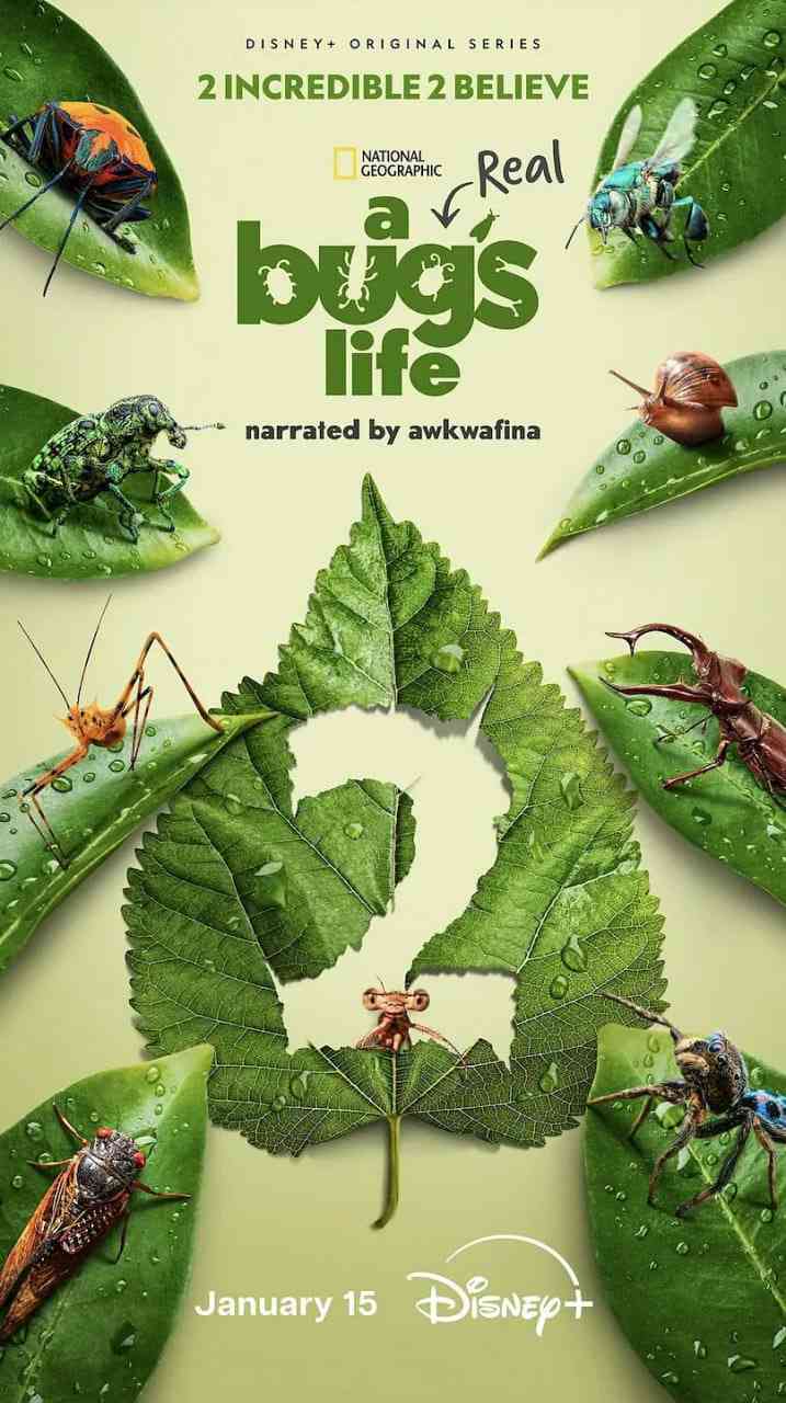 《虫虫历险记 第二季》最新免费高清电影无广告在线播放|纪录片,冒险·美国·2025