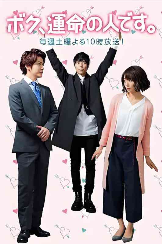 《我命中注定的人》全集免费高清电视剧无广告在线播放|剧情,喜剧,爱情·日本·2017