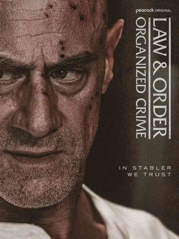 《法律与秩序：组织犯罪 第五季》全集免费高清电视剧无广告在线播放|剧情,犯罪·美国·2025