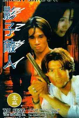 《影子敌人》最新免费高清电影无广告在线播放|动作,惊悚·中国香港·1995