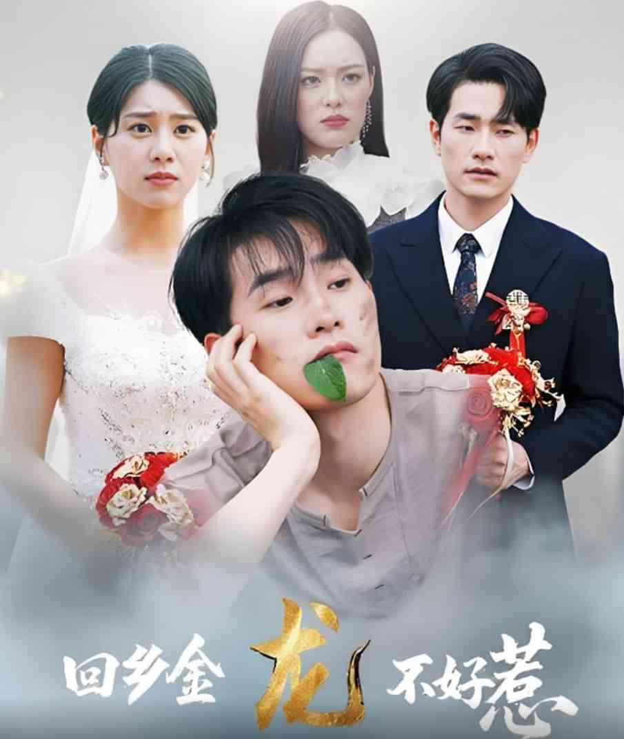 《回乡金龙不好惹》全集免费高清短剧无广告在线播放|短剧·中国大陆·2025