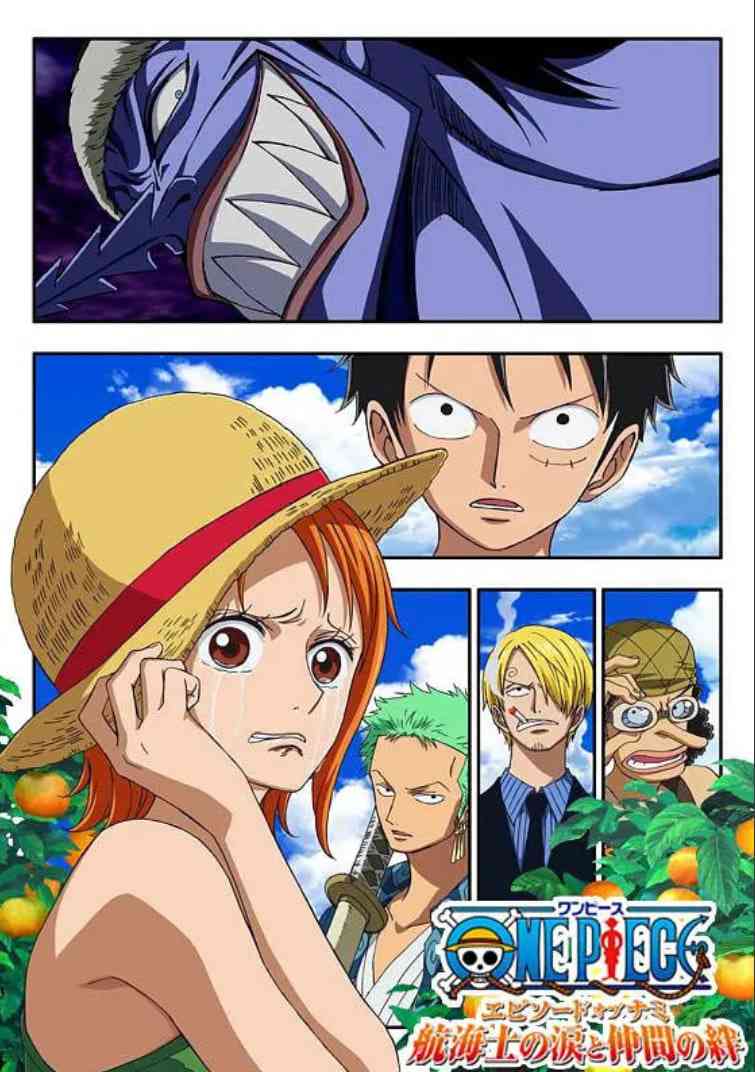 《海贼王娜美篇：航海士的眼泪与牵绊》最新免费高清电影无广告在线播放|动画·日本·2012