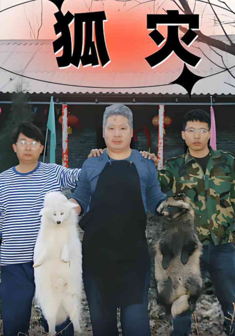 《狐灾》全集免费高清短剧无广告在线播放|短剧·中国大陆·2025