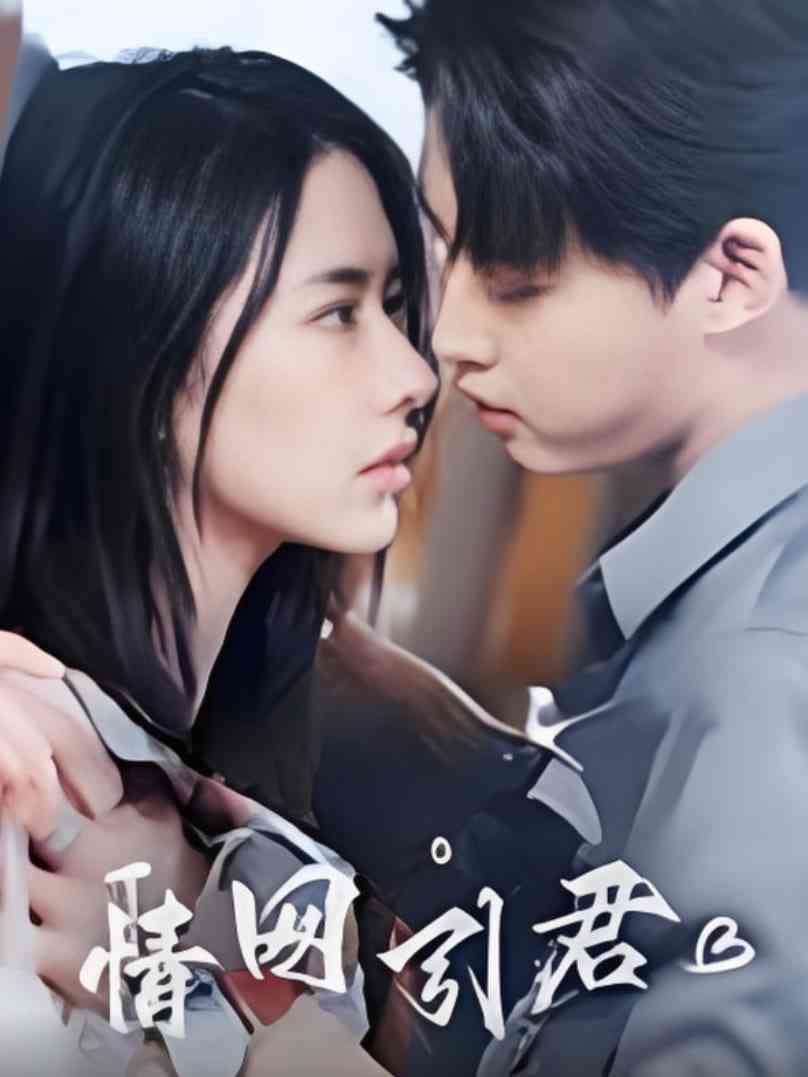 《情网引君》全集免费高清短剧无广告在线播放|短剧·中国大陆·2025