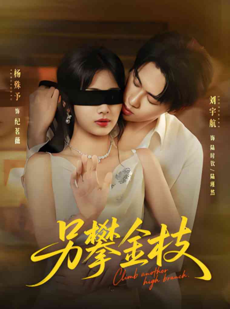 《另攀金枝》全集免费高清短剧无广告在线播放|短剧·中国大陆·2025