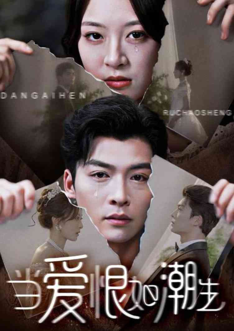 《当爱恨如潮生》全集免费高清短剧无广告在线播放|短剧·中国大陆·2025