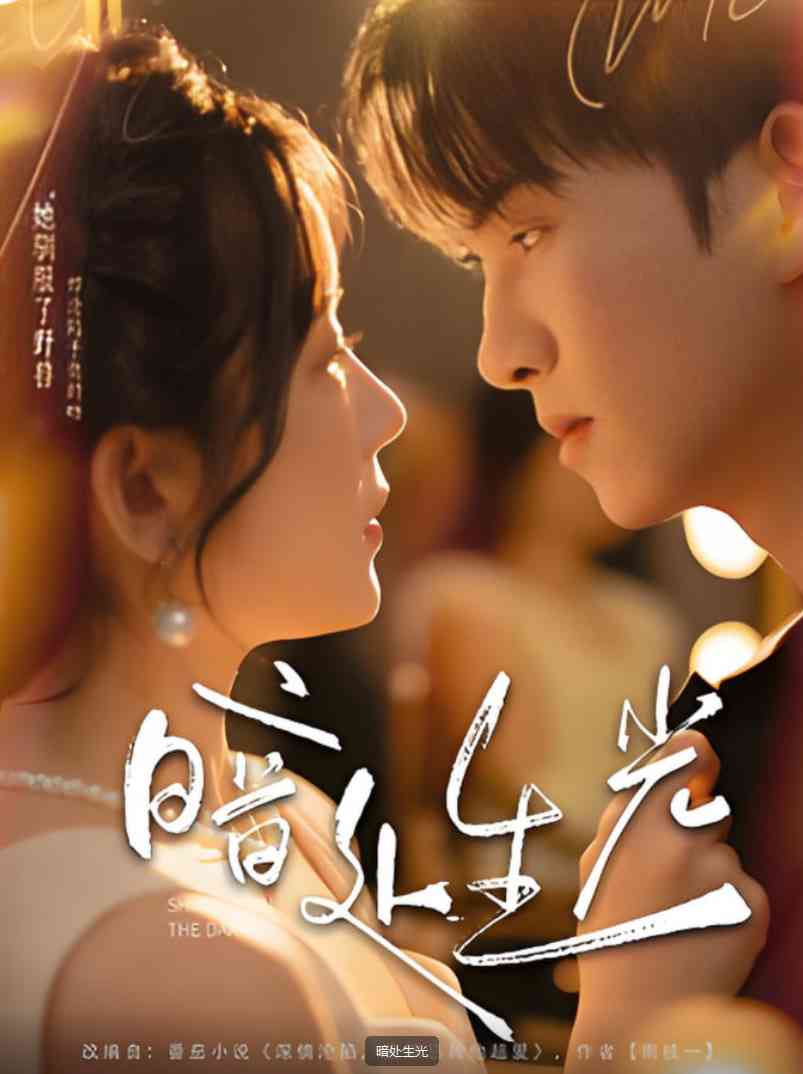 《暗处生光》全集免费高清短剧无广告在线播放|短剧·中国大陆·2025