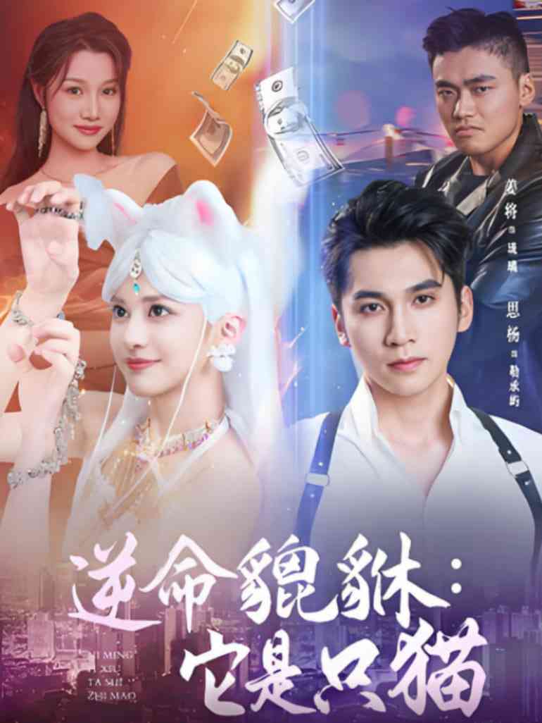 《逆命貔貅它是只猫》全集免费高清短剧无广告在线播放|短剧·中国大陆·2025