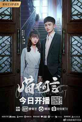 《喵不可言》全集免费高清电视剧无广告在线播放|爱情,奇幻·中国大陆·2022