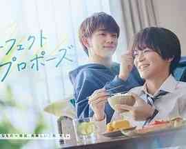 《完美求婚》全集免费高清电视剧无广告在线播放|剧情,同性,日剧·日本·2024