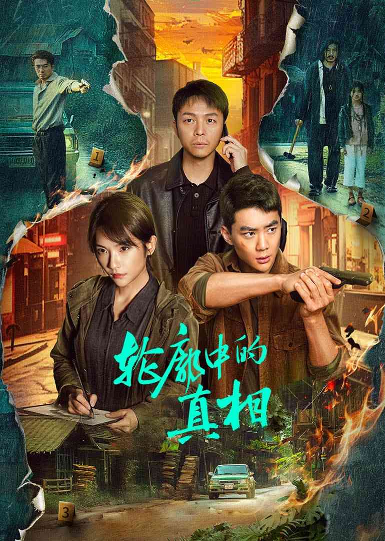 《轮廓中的真相》全集免费高清电视剧无广告在线播放|剧情·中国大陆·2025